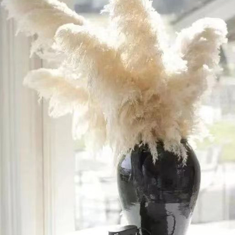 6Introduce natural elements into home decoration, such as branches, dried flowers, autumn leaves, etc.   Arrange them in vases or pots, or use th (2)